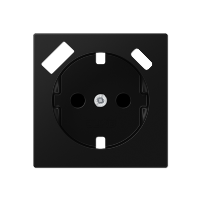 Накладка для розетки SCHUKO з USB тип AC