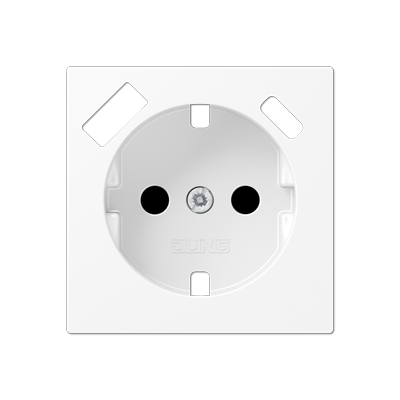 Накладка для розетки SCHUKO з USB тип AC