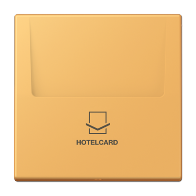 Накладка карткового вимикача HOTELCARD
