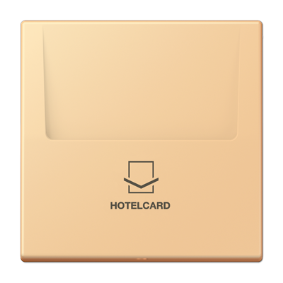 Накладка карткового вимикача HOTELCARD