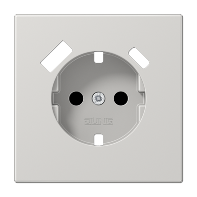 Накладка для розетки SCHUKO з USB тип AC