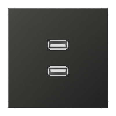 Мультимедійна розетка 2xUSB