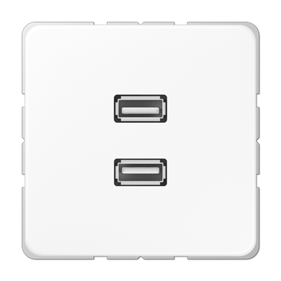 Мультимедійна розетка 2xUSB