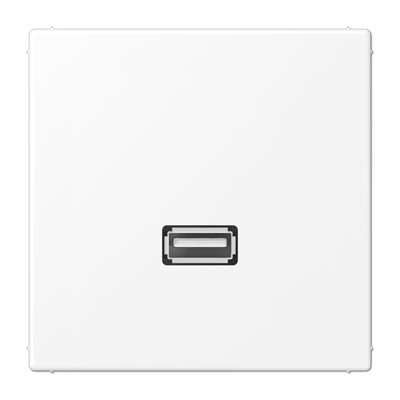 Мультимедійна розетка USB