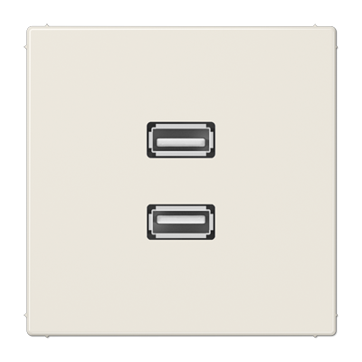 Мультимедійна розетка 2xUSB