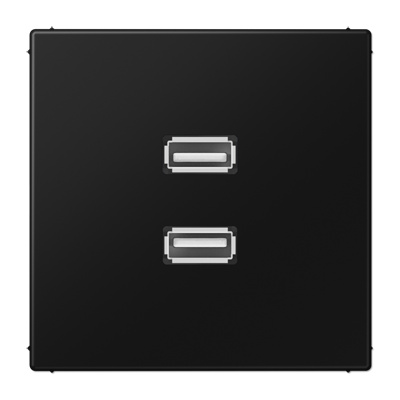Мультимедійна розетка 2xUSB