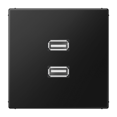 Мультимедійна розетка 2xUSB