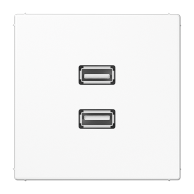 Мультимедійна розетка 2xUSB