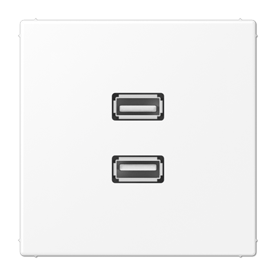 Мультимедійна розетка 2xUSB